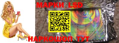 гидра Гатчина